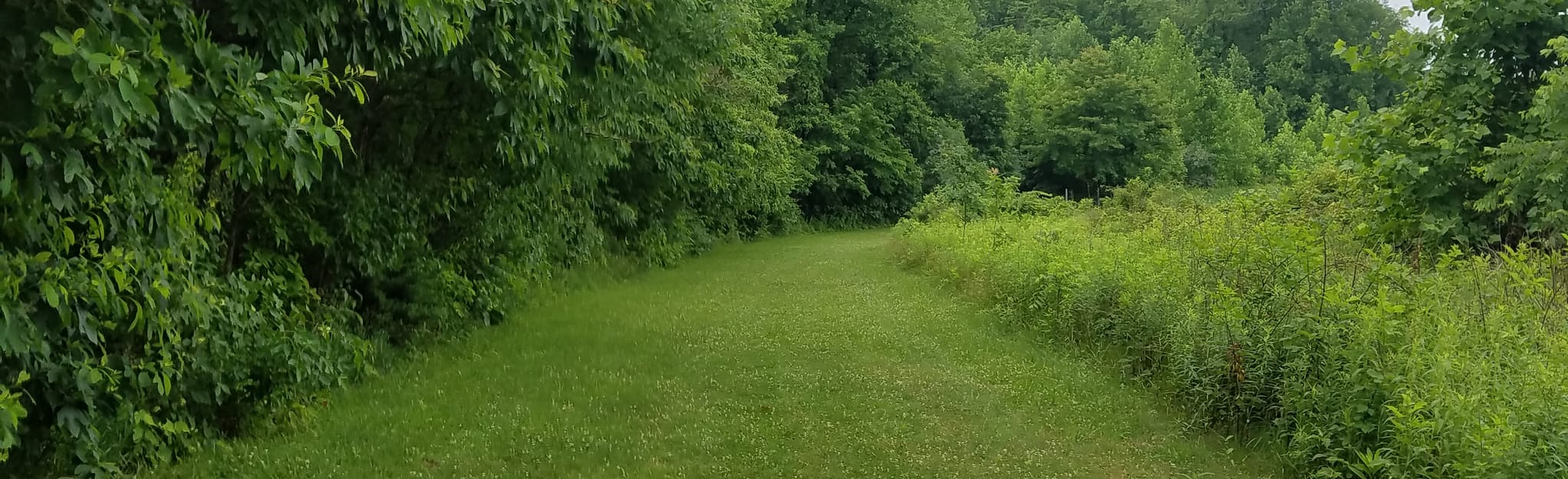 Tall Timbers Nature Trail 155 Reviews, Map Indiana AllTrails