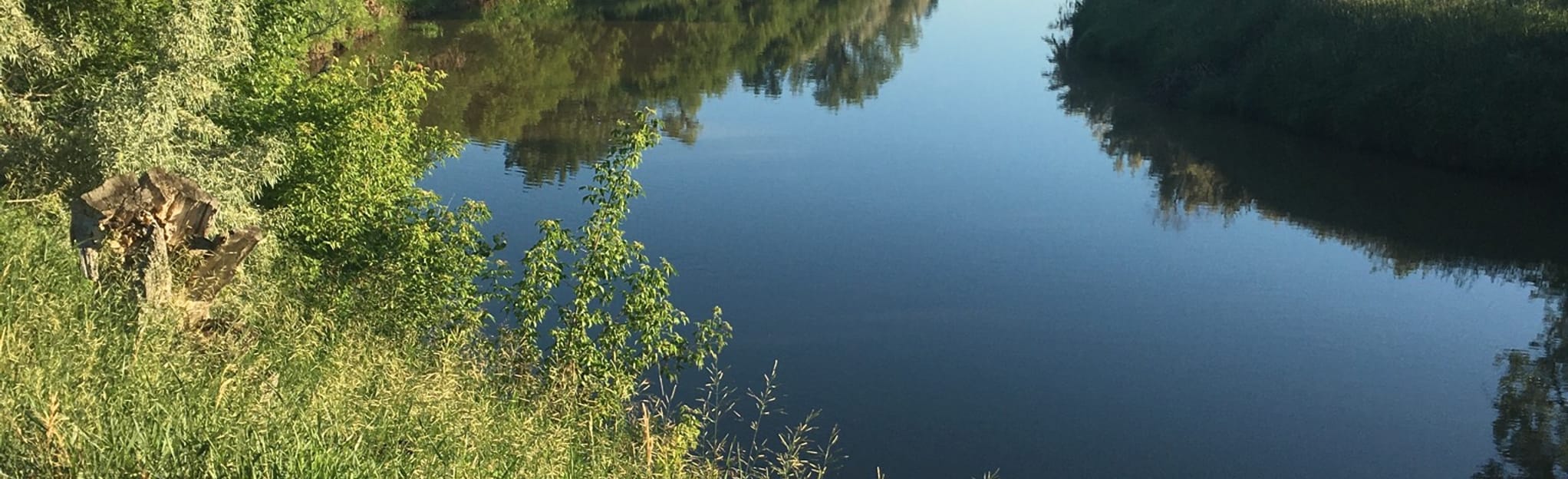 Trafton Campground Trail, Montana 12 Reviews, Map AllTrails