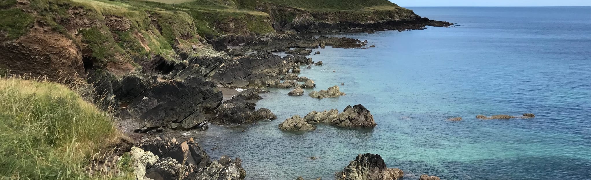 Ballycotton Cliff to Ballyandreen Bay, County Cork, Ireland 215