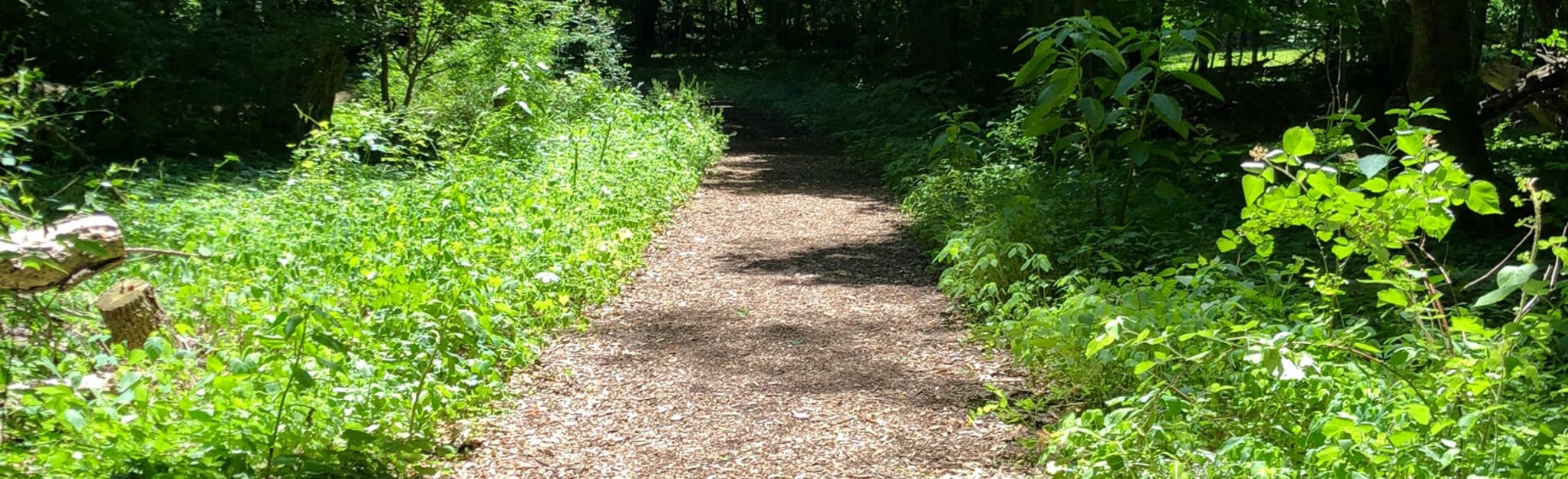 Jack Harrington and White Plains Greenway, New York 126 Reviews, Map