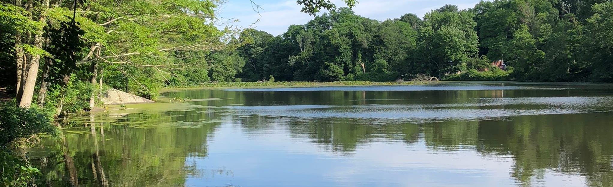 Sheldrake Lake to Leatherstocking Trail 216 Reviews, Map New York