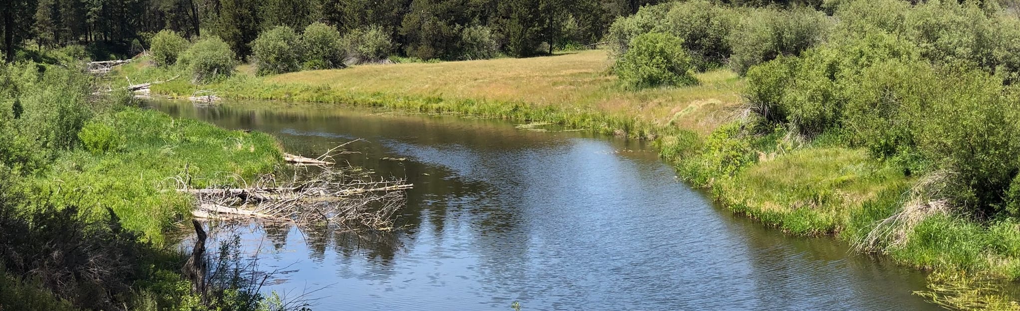 Williamson River, Oregon 56 Reviews, Map AllTrails