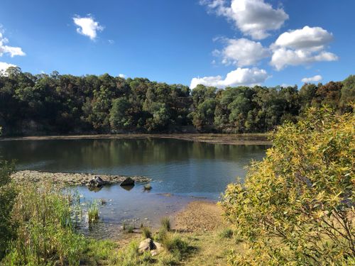 are dogs allowed at daisy hill conservation park