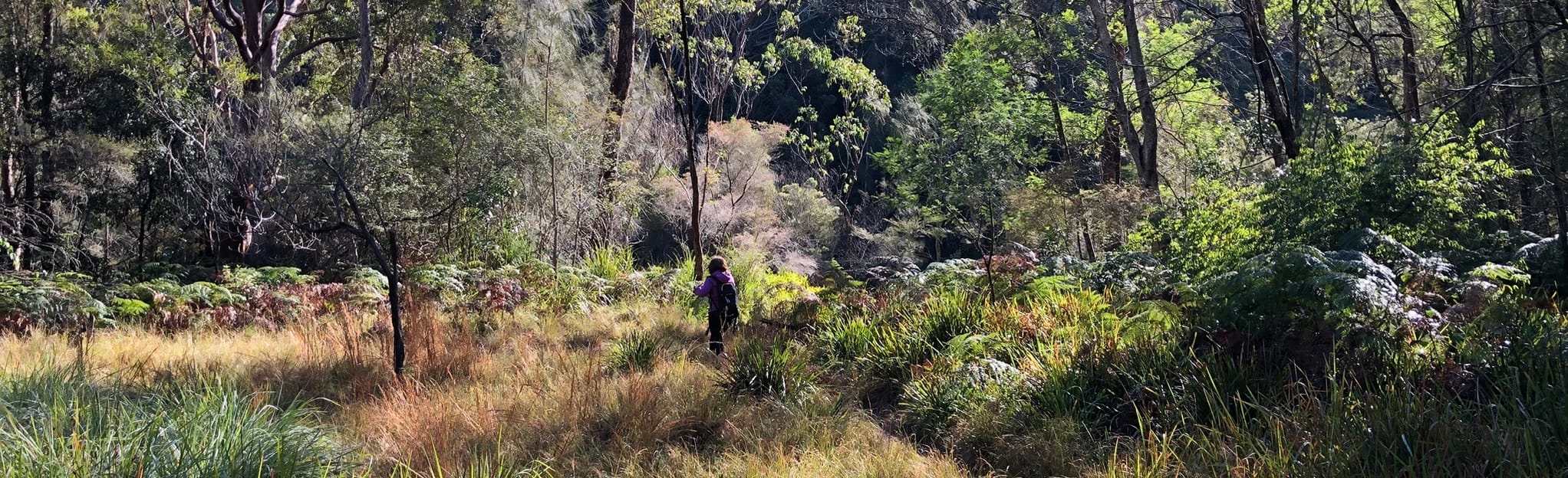 Deep Creek and Slippery Dip Loop 60 Reviews, Map New South Wales