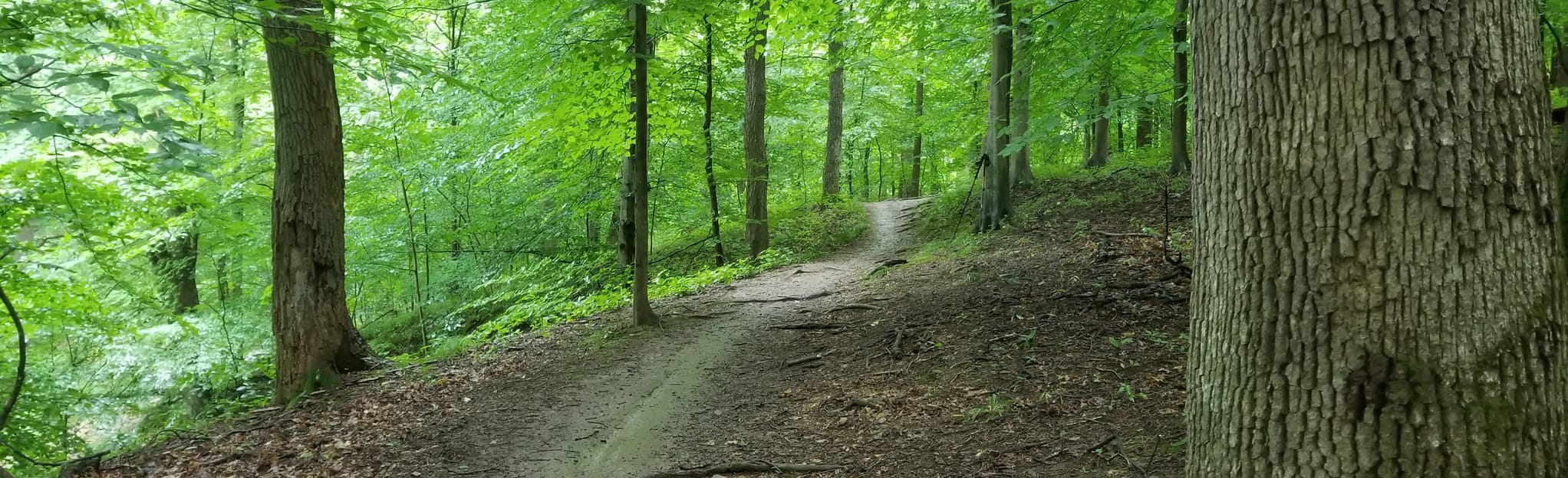 Morning Choice, Cascade Falls, Ridge, Hop the Snake, and Nacho Trail