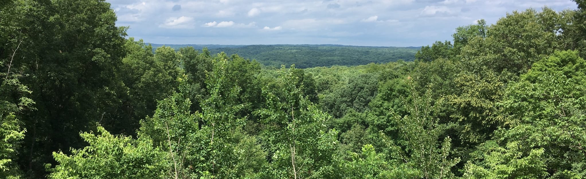 Brown County State Park Trail 2 - EyJidWNrZXQiOiJhc3NldHMuYWxsdHJhaWxzLmNvbSIsImtleSI6InVwbG9hZHMvcGhvdG8vaW1hZ2UvMjA3MTQ0MzEvZmQwZTBiMWRhOTViZjQyMGI5NDA1MzI0ZWU0MjYxMTYuanBnIiwiZWRpdHMiOnsidG9Gb3JtYXQiOiJqcGVnIiwicmVzaXplIjp7IndpZHRoIjoyMDQ0LCJoZWlnaHQiOjYyNCwiZml0IjoiY292ZXIifSwicm90YXRlIjpudWxsLCJqcGVnIjp7InRyZWxsaXNRdWFudGlzYXRpb24iOnRydWUsIm92ZXJzaG9vdERlcmluZ2luZyI6dHJ1ZSwib3B0aW1pc2VTY2FucyI6dHJ1ZSwicXVhbnRpc2F0aW9uVGFibGUiOjN9fX0=