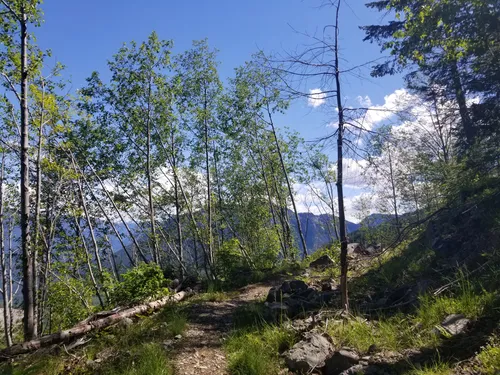 Olallie state park mountain cheap bike trail