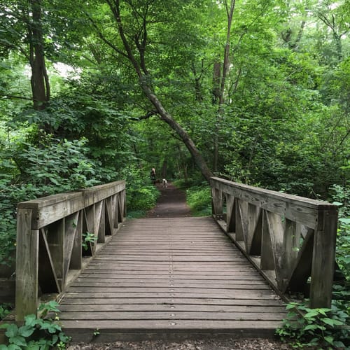 Best Hikes and Trails in Cold Spring Park | AllTrails