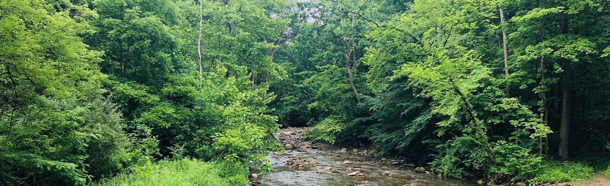 Stanford Trail to Brandywine Trail Loop Map, Guide Ohio