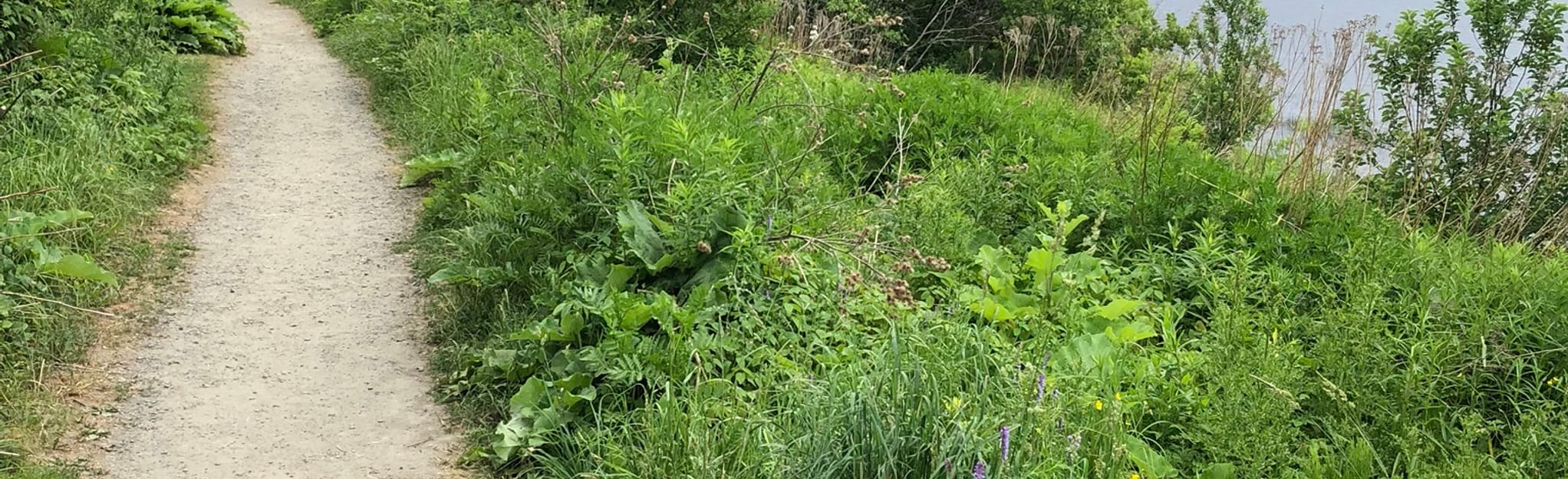 Hunters Bay Walking Trail, Ontario, Canada 282 Reviews, Map AllTrails