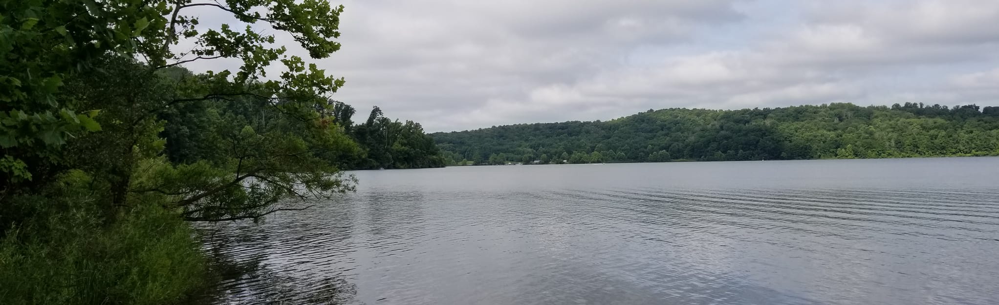 Salt Fork White Horse Trail Loop 41 Reviews, Map Ohio AllTrails