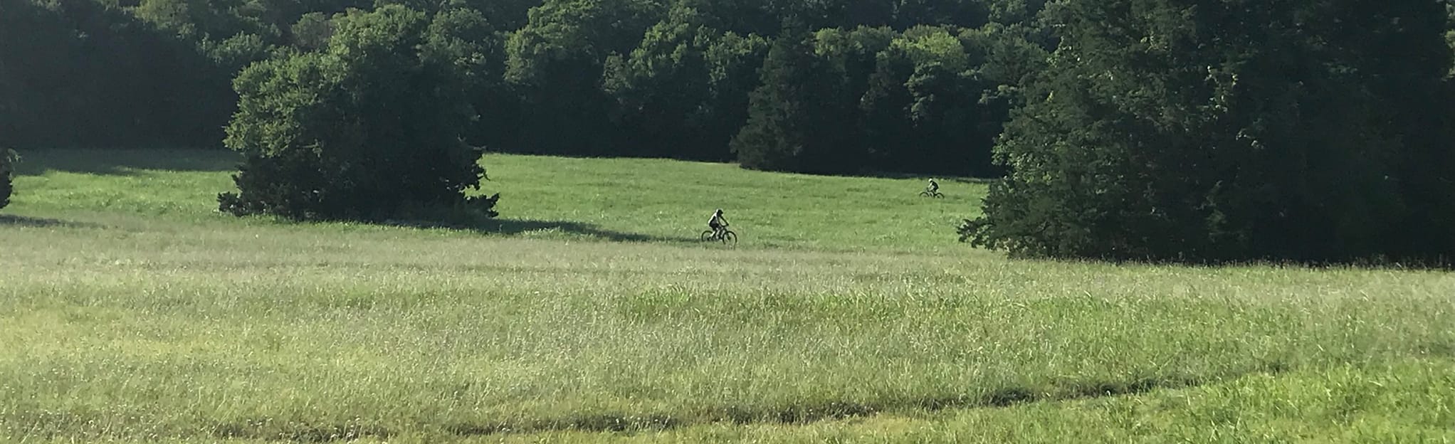 Erwin Park North Loop, Texas 599 Reviews, Map AllTrails