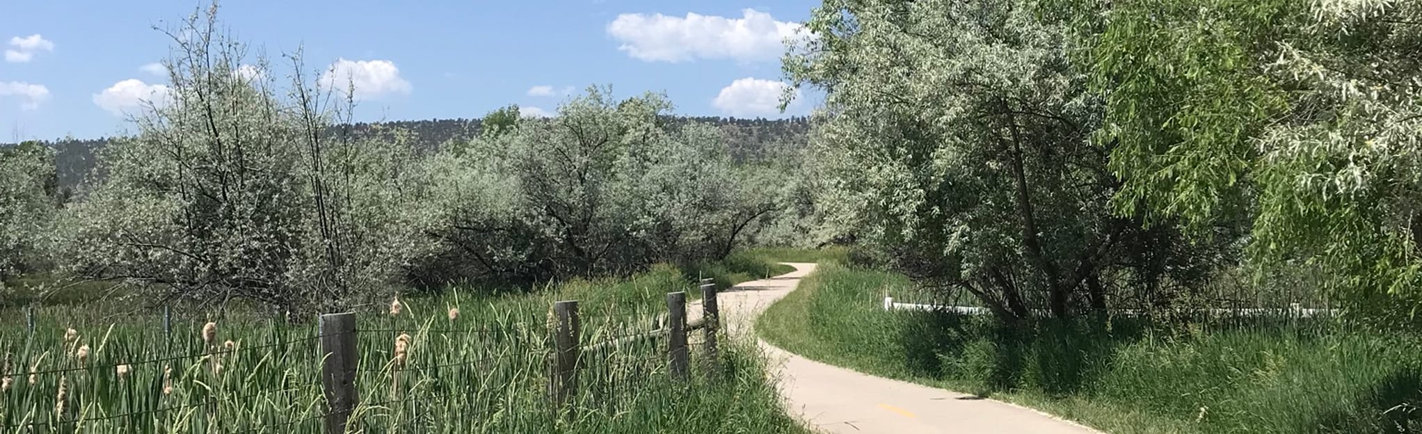 Spring Creek Trail: 371 Reviews, Map - Colorado | AllTrails