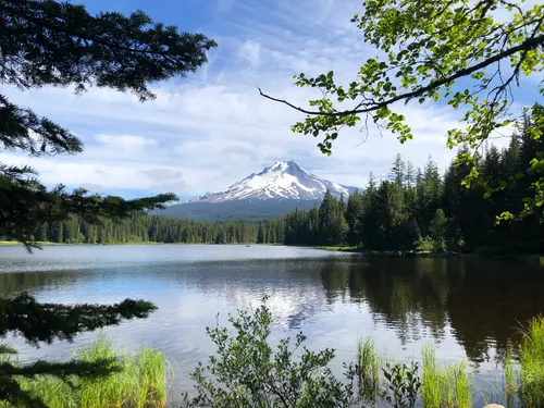 Alltrails clearance mt hood