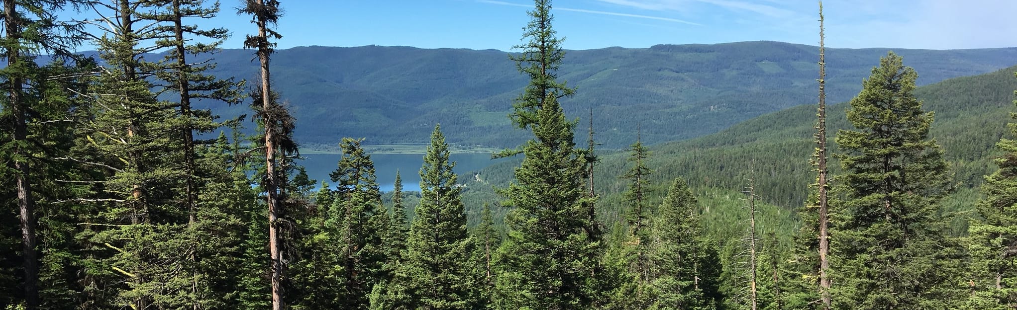 Hall Lake Trail, Montana 84 Reviews, Map AllTrails