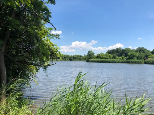 Hackensack River County Park Trail: 45 Reviews, Map - New Jersey