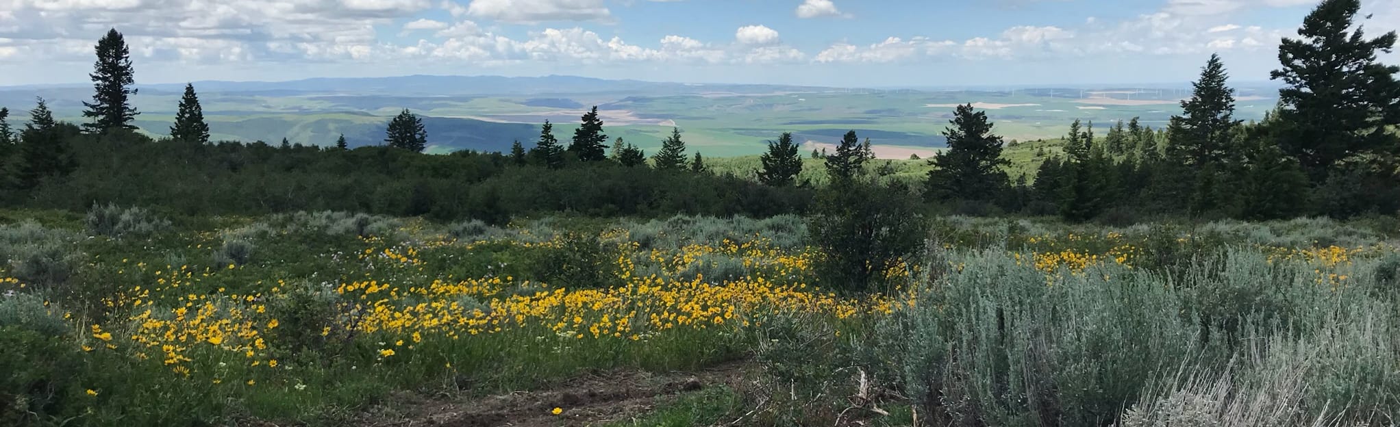 Kelly Canyon Trail Map, Guide Idaho AllTrails