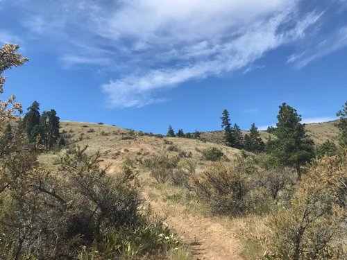 10 Best Mountain Biking Trails In Ellensburg 