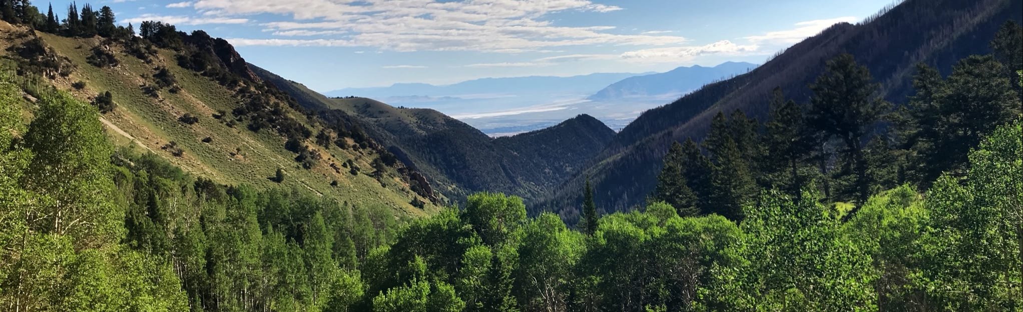 Deseret Peak Wilderness Loop, Utah - 362 Reviews, Map | AllTrails