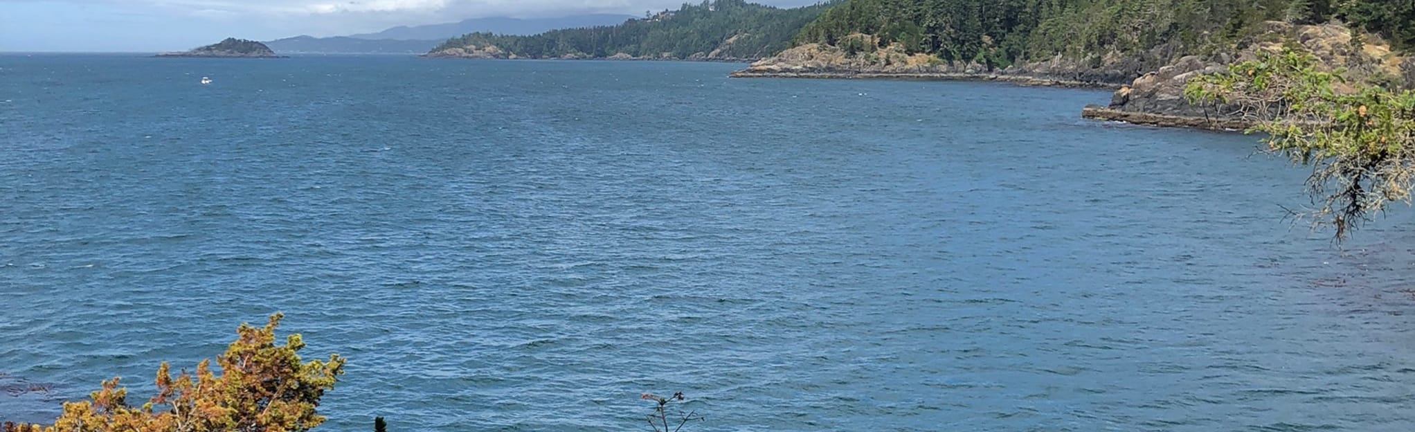 Cabin Point from Parkheights Drive Map, Guide British Columbia, Canada AllTrails