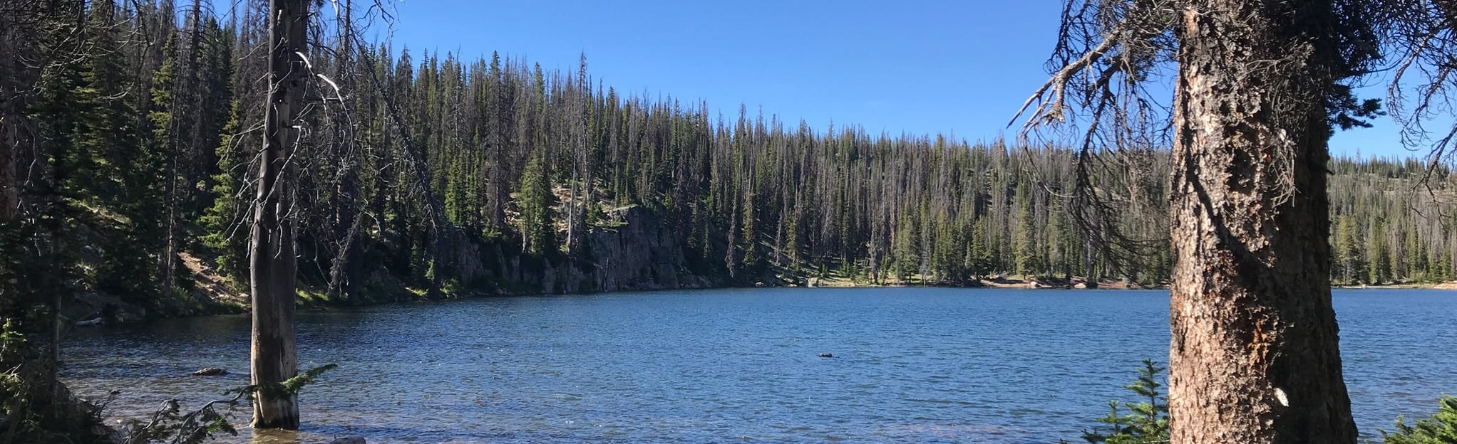 Castle Lake Trail 106 Reviews, Map Utah AllTrails