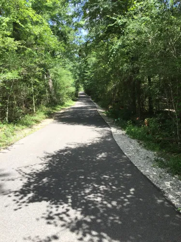 Best Short Trails in Jesse H. Jones Park & Nature Center | AllTrails