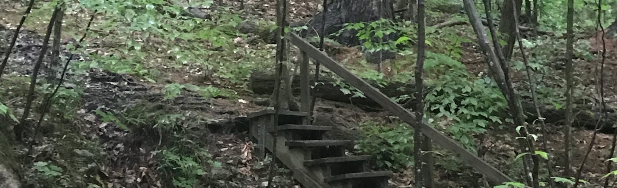 Anders Run Trail Loop 82 Reviews, Map Pennsylvania AllTrails