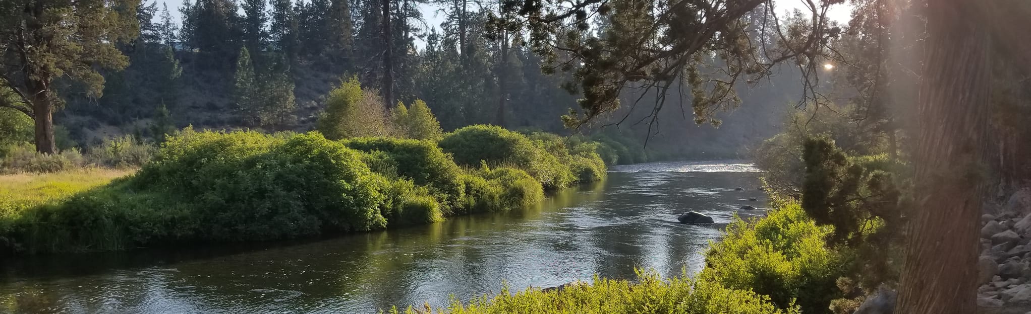 Riley Ranch to Tumalo State Park - Oregon | AllTrails
