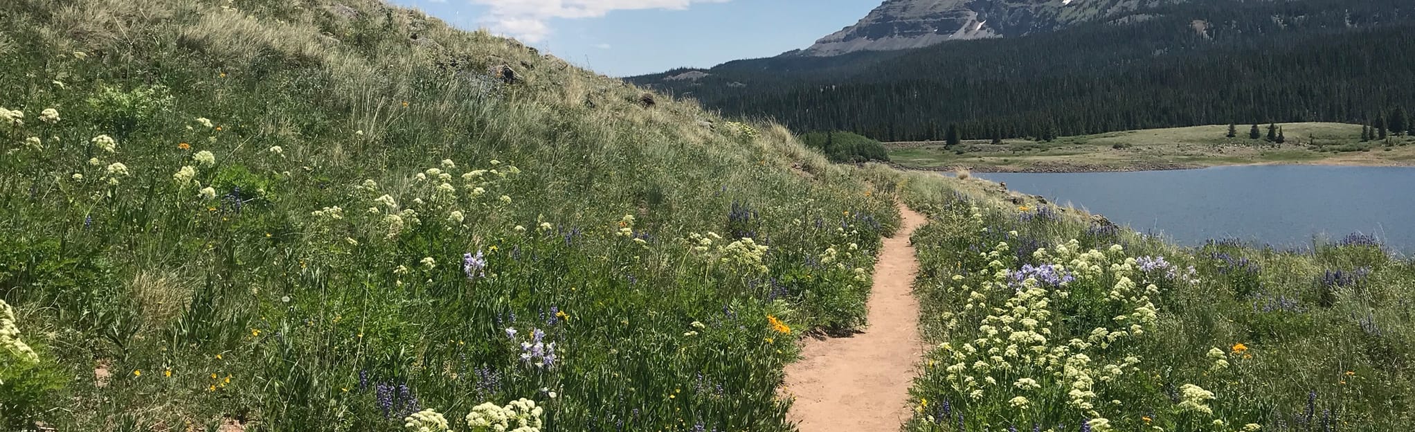 Devil's Causeway, Colorado 504 Reviews, Map AllTrails