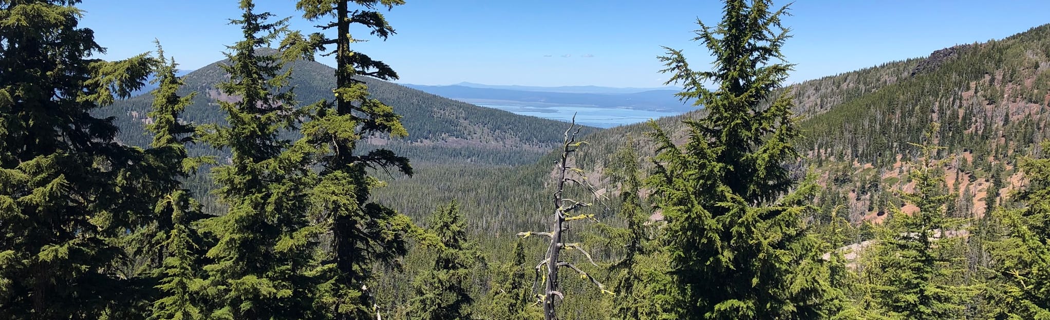 South Pass Lake Trail 4 Reviews, Map Oregon AllTrails