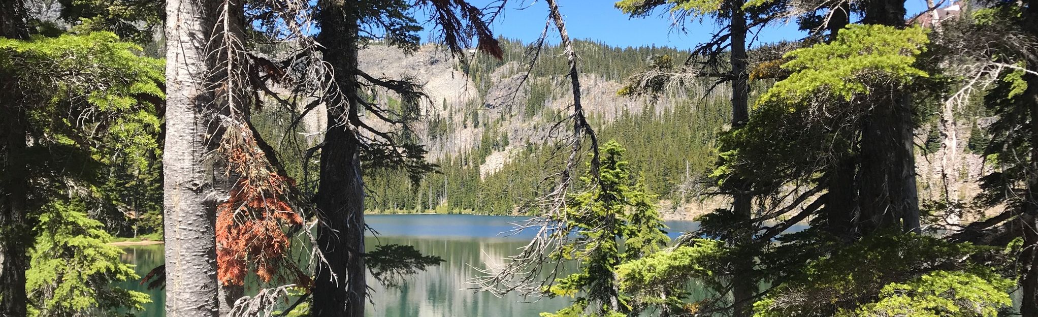 Carl Lake Trail, Oregon - 139 Reviews, Map | AllTrails