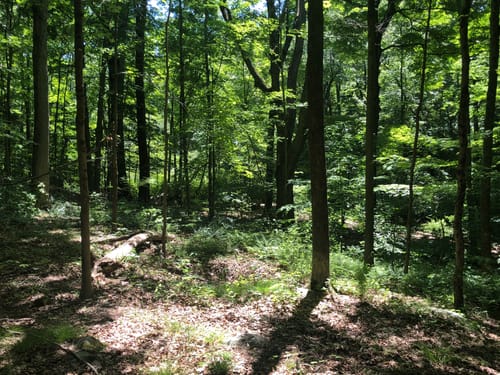 Trout Brook Valley State Park Reserve: Die besten Routen in 2023