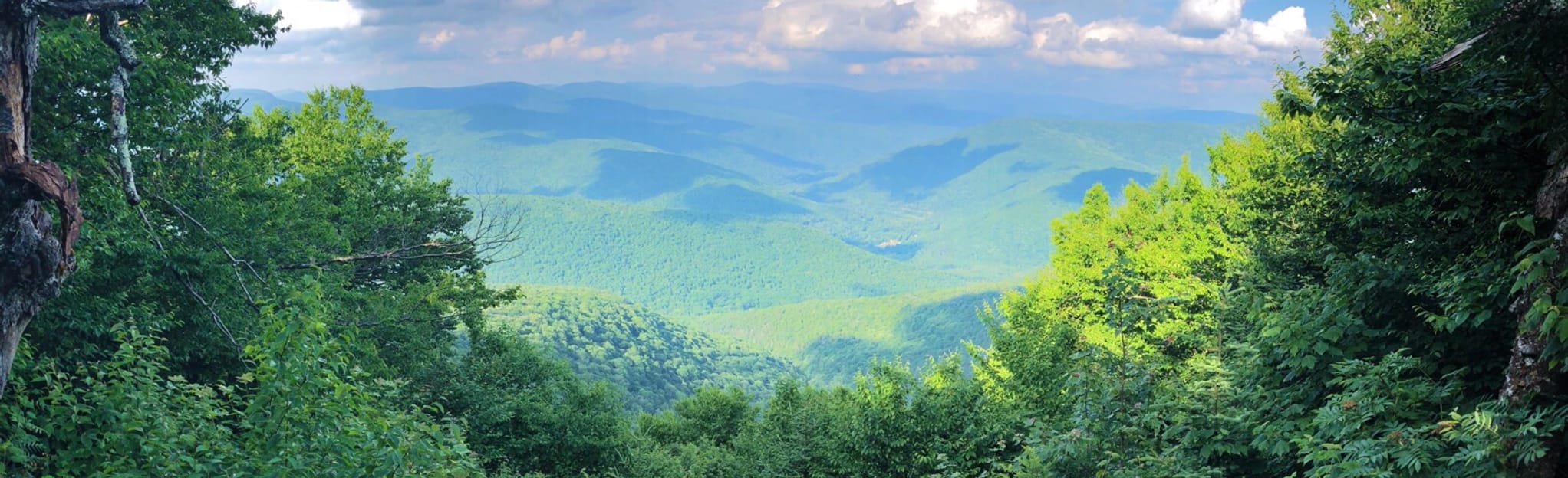 Pine Hill West Branch Trail, New York 17 Reviews, Map AllTrails