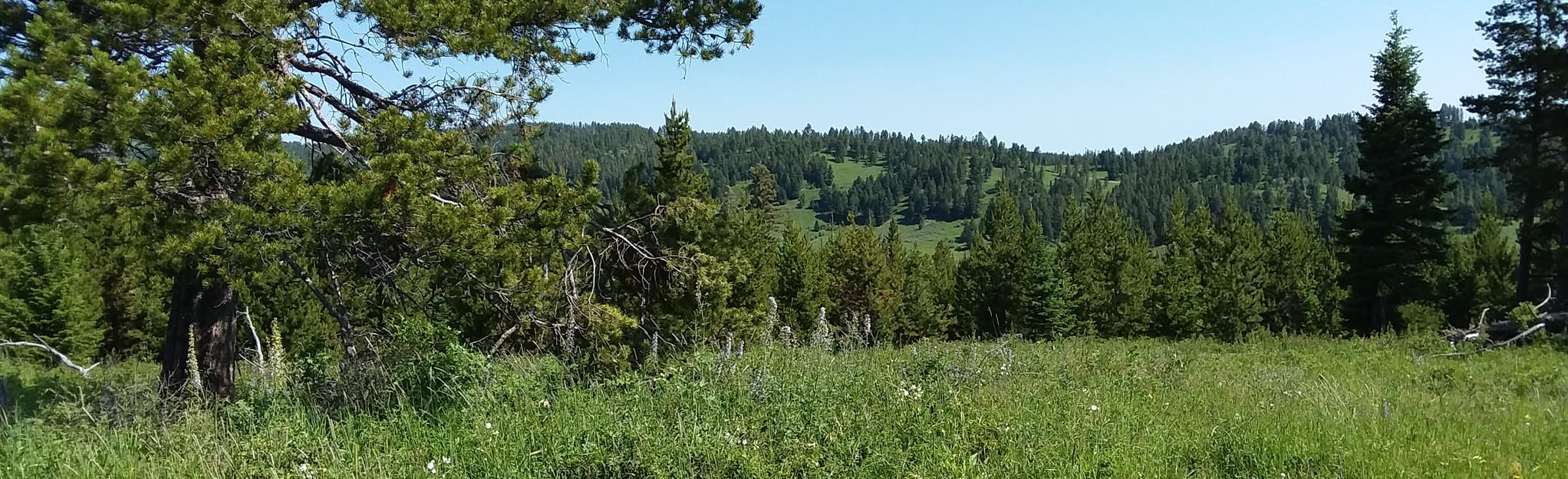 Bear Lakes via Trail Creek , Montana 3 Reviews, Map AllTrails