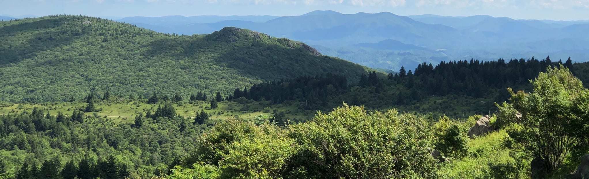 Appalachian, Crest and Wilburn Ridge Loop 64 Reviews, 3,400 Photos