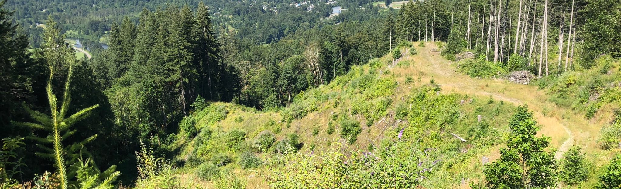 Lake Marie Road and Crazy Ivan Loop, Washington 102 Reviews, Map