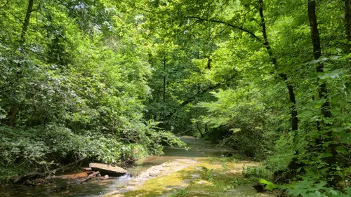 Best Hikes and Trails in Bowie Nature Park | AllTrails