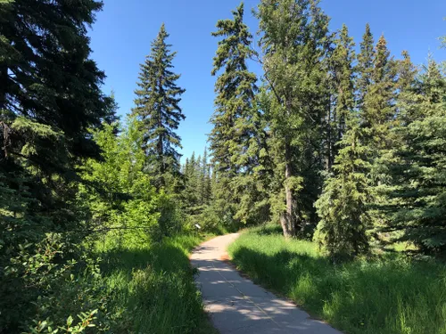 Best 10 Hiking Trails in Griffith Woods Park | AllTrails