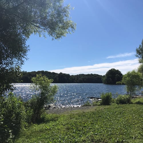 Best 10 Trails in Muddy Run Park AllTrails