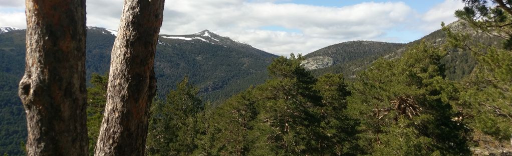 Fuenfría - Los Leones - Cercedilla, 253 Fotos - Comunidad de Madrid, Spain  | AllTrails