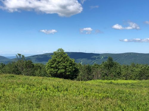 Best 10 Hikes and Trails in Mount Greylock State Reservation | AllTrails