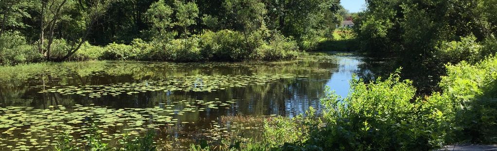 Stenger Farm Park: An oasis of flora, fauna in Waterford