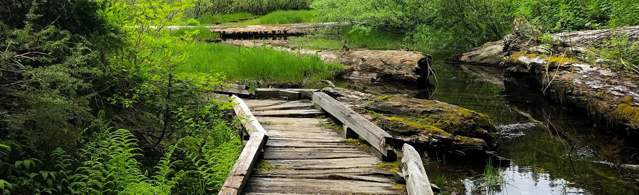 Elbow Lake and Lake Doreen Trail, Washington Map, Guide AllTrails
