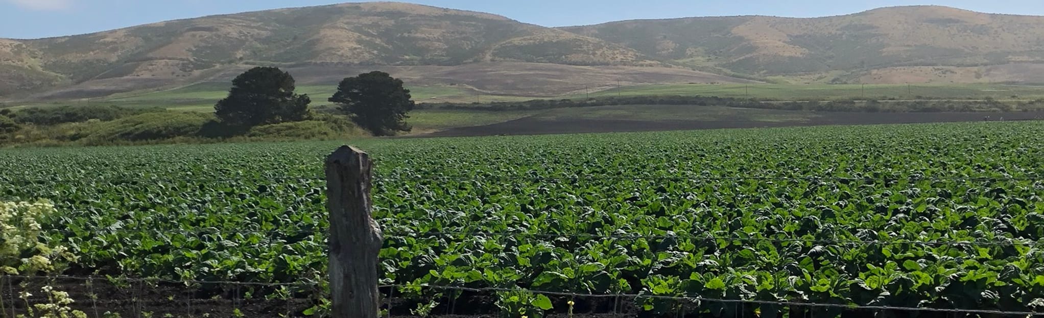 CowellPurisima Trail 1523 Reviews, Map California AllTrails