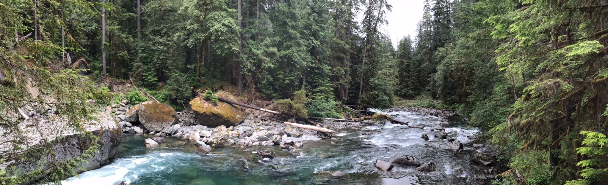 Black and White Lakes Primitive Trail - Washington | AllTrails