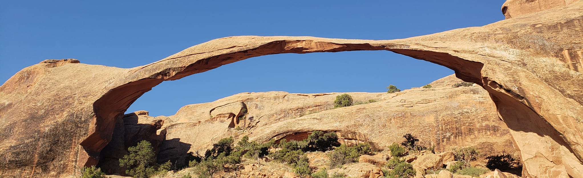 Wall Arch and Pine Tree Arch, Utah - 2,659 Reviews, Map | AllTrails