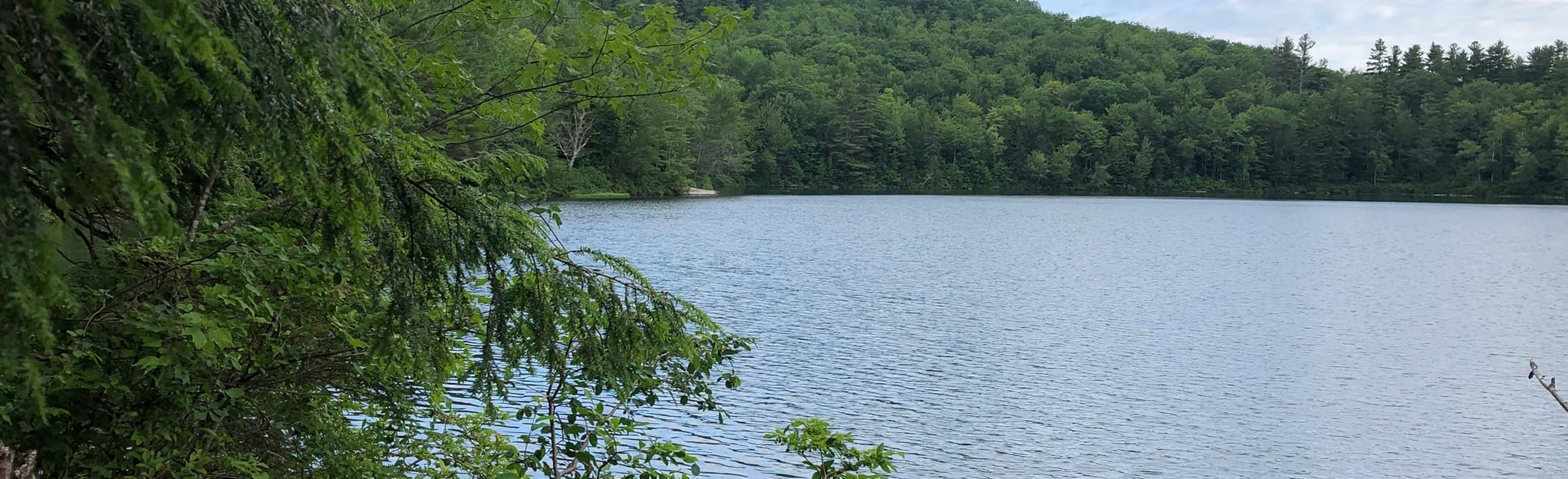 Cole Pond via Hilltop Place, New Hampshire 41 Reviews, Map AllTrails