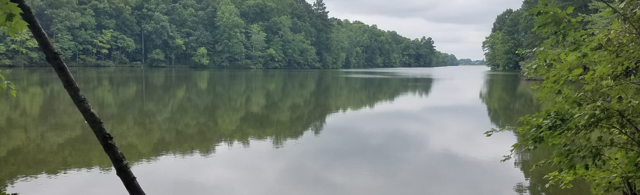 AllTrails Wake Forest Reservoir Loop 567 Reviews, Map North Carolina