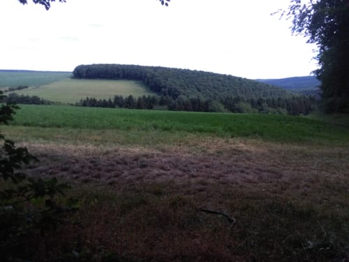 Premiumwanderweg: Vitaltour Schlossweg