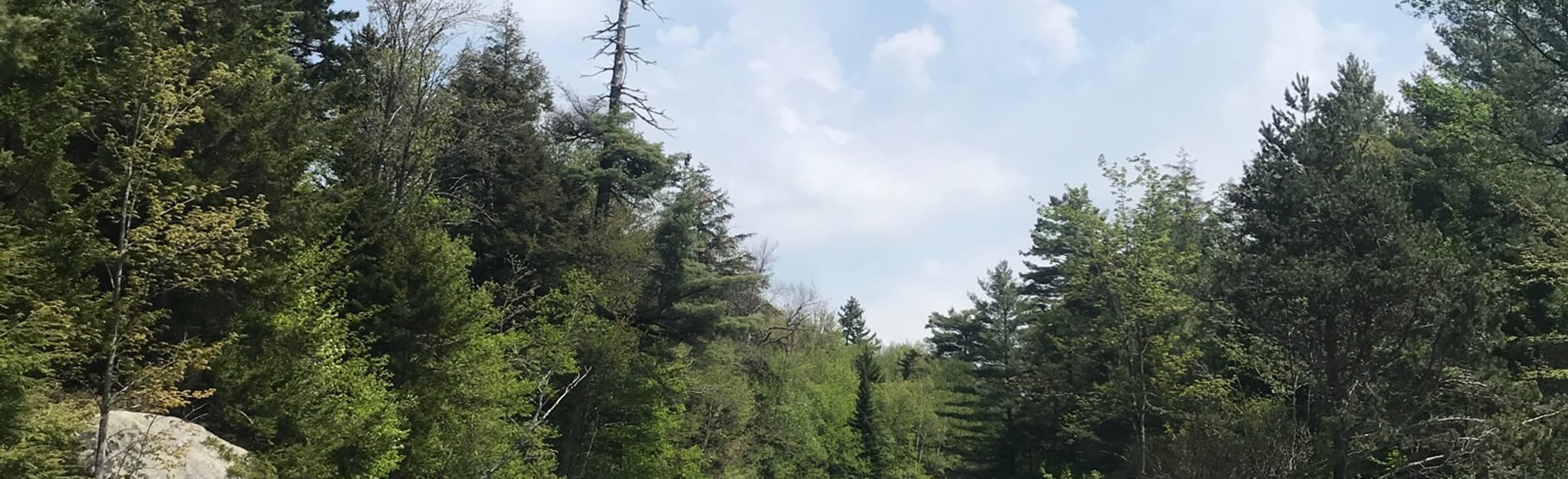 Round Lake, New York 11 Reviews, Map AllTrails